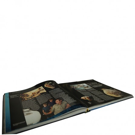 Milenyum yayıncılık dağıtım ve pazarlama