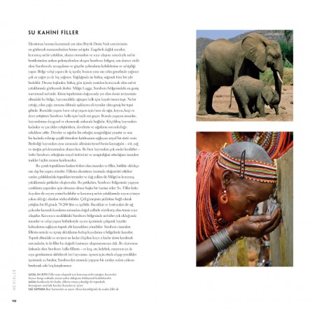 Milenyum yayıncılık dağıtım ve pazarlama