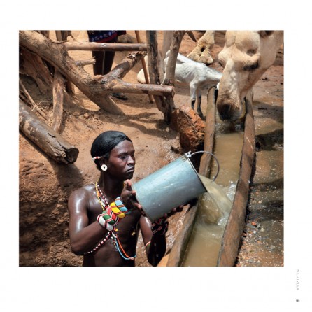 Milenyum yayıncılık dağıtım ve pazarlama