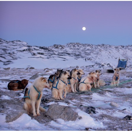 Milenyum yayıncılık dağıtım ve pazarlama