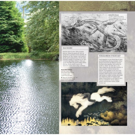 Milenyum yayıncılık dağıtım ve pazarlama