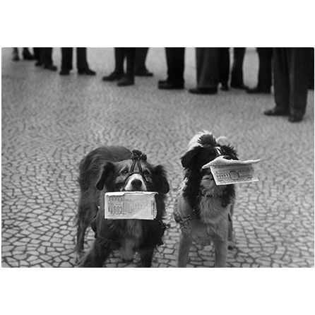 Milenyum yayıncılık dağıtım ve pazarlama