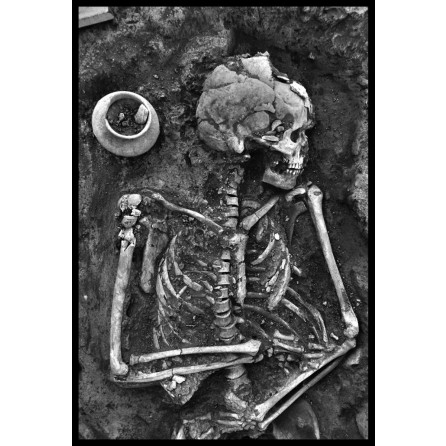 Milenyum yayıncılık dağıtım ve pazarlama