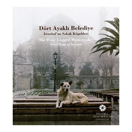 Milenyum yayıncılık dağıtım ve pazarlama