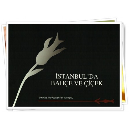 Milenyum yayıncılık dağıtım ve pazarlama