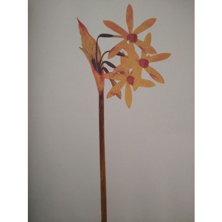 Milenyum yayıncılık dağıtım ve pazarlama