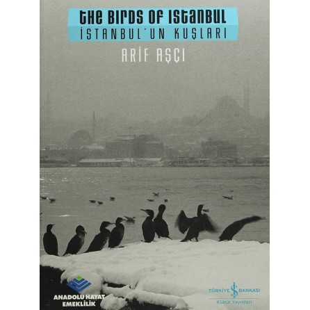 Milenyum yayıncılık dağıtım ve pazarlama