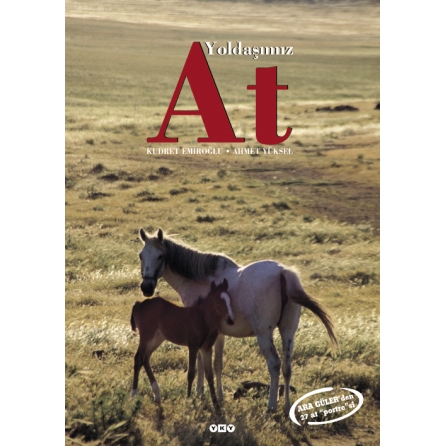 Milenyum yayıncılık dağıtım ve pazarlama