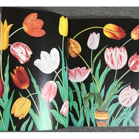 Milenyum yayıncılık dağıtım ve pazarlama