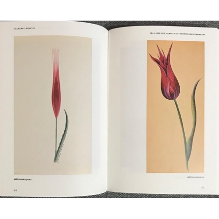 Milenyum yayıncılık dağıtım ve pazarlama