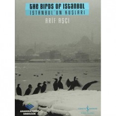 İSTANBUL´UN KUŞLARI ARİF AŞÇI