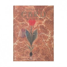 TÜRKLERİN EBRU SANATI