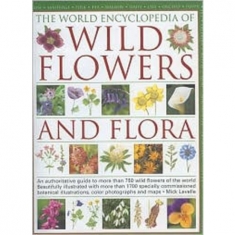 WILD FLOWERS AND FLORA