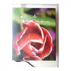 İSTANBUL´ DA LALE ZAMANI