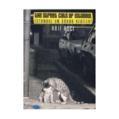 İSTANBUL'UN SOKAK KEDİLERİ THE STREET CATS OF ISTANBUL