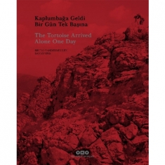 KAPLUMBAĞA GELDİ BİR GÜN TEK BAŞINA